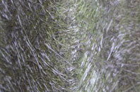 Templand fibreglass roof work